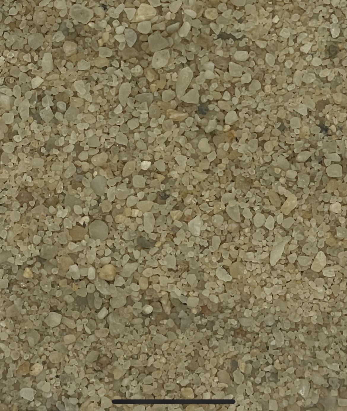industrial-facility-floor-coatings-st-louis-veterinary-clinics