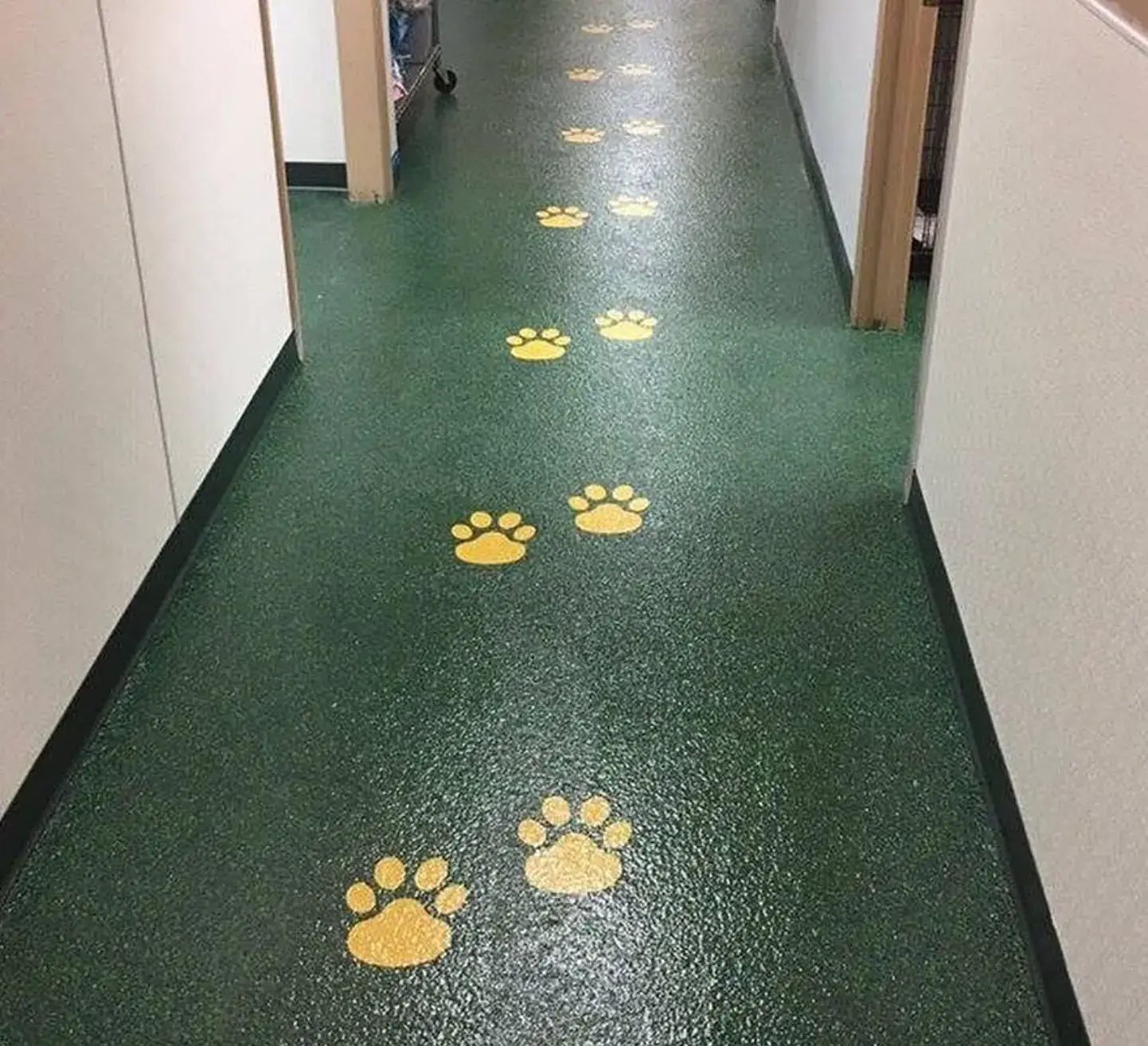 industrial-facility-floor-coatings-st-louis-veterinary-clinics