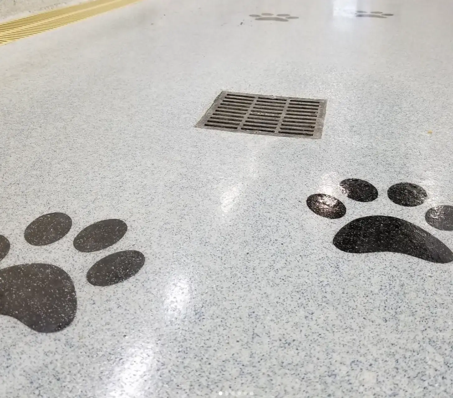 veterinary_clinic_epoxy_distributors_mo_specific_flooring